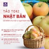  Táo Toki Nhật Bản - Táo Vàng Nhật Bản 