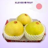  Táo Toki Nhật Bản - Táo Vàng Nhật Bản 