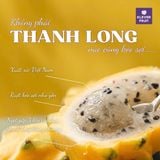  Hộp Quà 11 Quả Thanh Long Tổ Yến giống Ecuador 