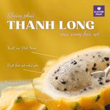  Thanh Long Tổ Yến giống Ecuador 