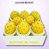  Hộp Quà 08 Quả Thanh Long Tổ Yến giống Ecuador 