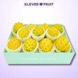  Hộp Quà 11 Quả Thanh Long Tổ Yến giống Ecuador 