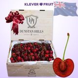  Cherry Đỏ New Zealand Size 26+ 