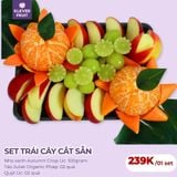  Set Trái Cây Cắt Sẵn Giảm Cân Thải Độc 