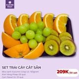  Set Trái Cây Cắt Sẵn Tràn Đầy Năng Lượng 