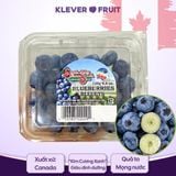  Việt Quất Canada - Canadian Blueberries 