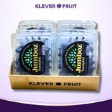  Việt Quất Mỹ 