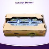  Việt Quất Mỹ 