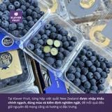  Việt quất New Zealand - New Zealand Blueberries 