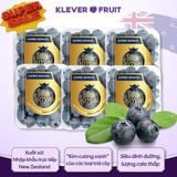  Việt quất New Zealand - New Zealand Blueberries 