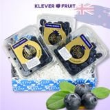  Việt quất New Zealand - New Zealand Blueberries 