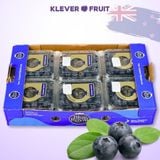  Việt quất New Zealand - New Zealand Blueberries 