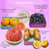  Thứ 4 Tươi Mát – Vitamins Cho Gia Đình 5 Người Từ Trái Cây Cao Cấp 