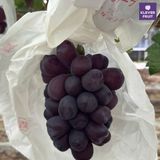  Nho Royal Vine Hàn Quốc - Nho Premium 