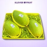  Xoài Cát Hòa Lộc Vip 