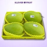  Xoài Cát Hòa Lộc Vip 