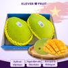 Xoài Cát Hòa Lộc tại Klever Fruit khay 2 quả