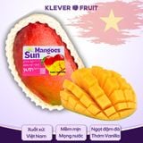  Xoài Mặt Trời Đỏ 