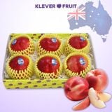  Xuân Đào Trắng Úc 