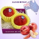  Xuân Đào Trắng Úc 