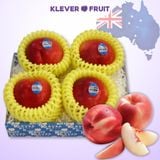  Xuân Đào Trắng Úc 