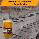  KEO CẤY SẮT SIKA DUR-31 CF NORMAL - 1.2KG ( KEO THẤY THÉP SIKADUR 731 CŨ ) 