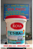  CHỐNG THẤM KOVA PHA MÀU CT11A COLOR - 22KG 
