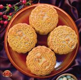  LỄ HỘP HẢO HẠNG - 208 