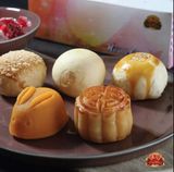  LỄ HỘP ĐẶC BIỆT - 301 