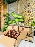  Hạt Nêm Cá Ngừ Tảo Bẹ AA 