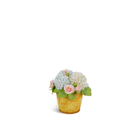  Chậu 10 cm + Cẩm Tú Cầu 