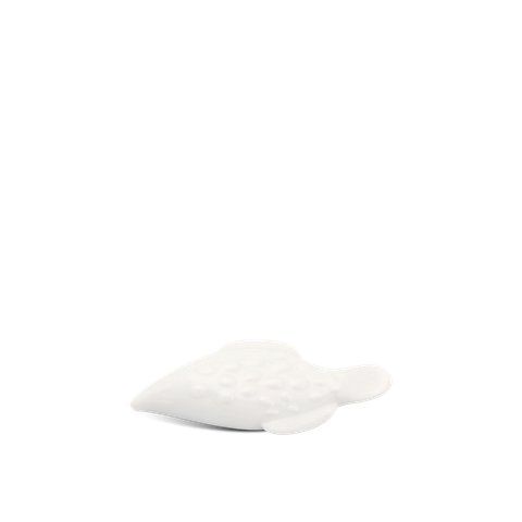  Cá Gác đũa 4 - Misc Assortment - Trắng 