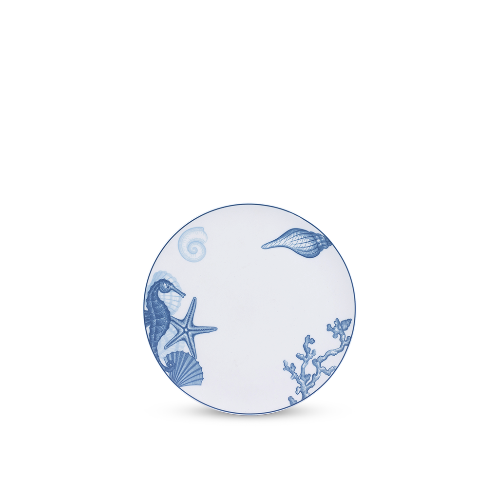 Dĩa tròn (KL) - Timeless - Đại Dương Sương Mờ