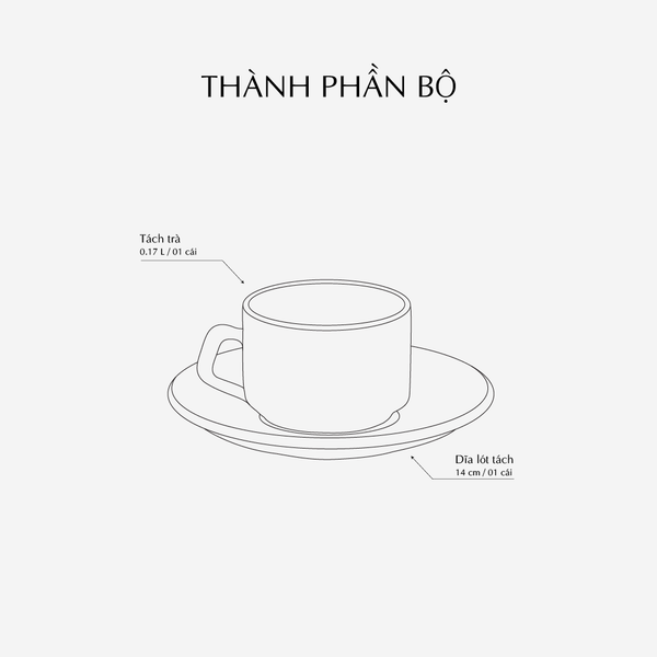 Tách cà phê 0.17 L / dlót tách cà phê 14 cm - Misc Assortment - Chỉ Vàng