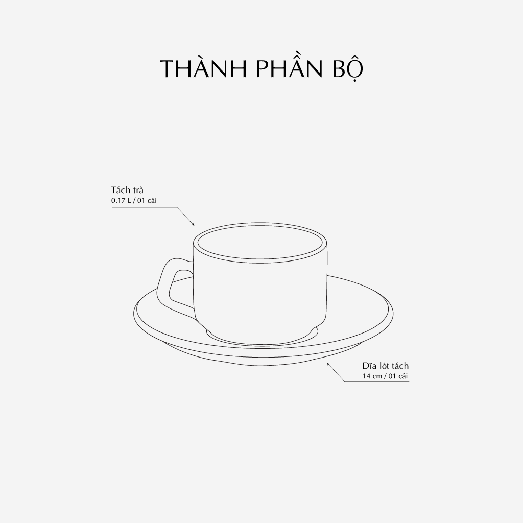 Tách cà phê 0.17 L / dlót tách cà phê 14 cm - Misc Assortment - Chỉ Vàng