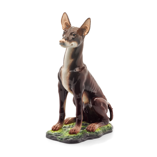 [GT] Chó săn Ai cập Pharaoh - Tượng - Nâu