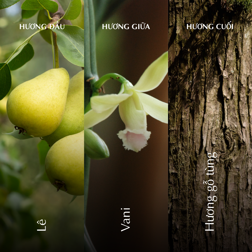 Nến thơm (K1) - Hương Đông - Trắng Bóng Mờ