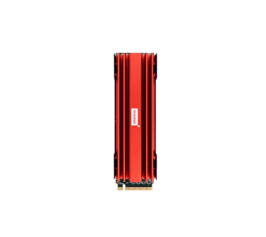 Innodisk-M.2 (P80) 4TS2-P