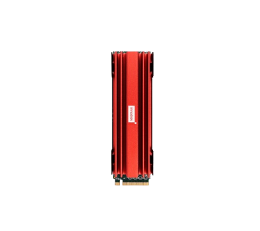 Innodisk-M.2 (P80) 4TS2-P