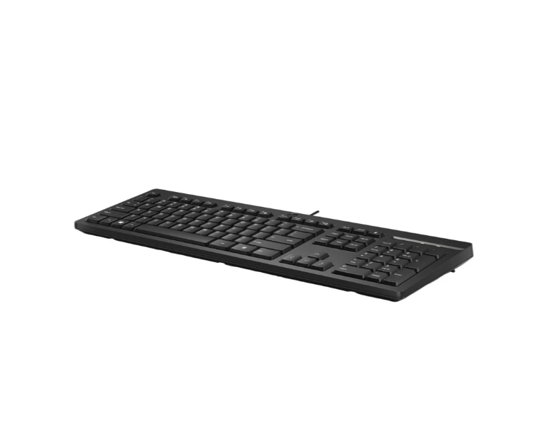  HP 125 Wired Keyboard – USB Full-Size Keyboard | Spill-Resistant (266C9AA) 