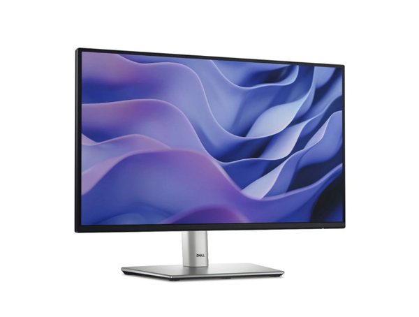  Dell P2225H – 21.5