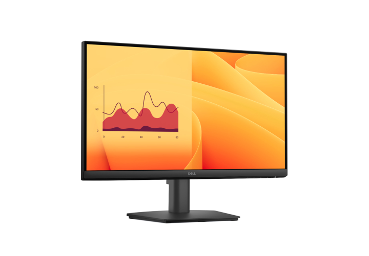  Dell E2225HSM – 21.5