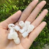  Chốt nhựa tắc kê liên kết lam nhựa (set 1.000 bộ) 
