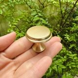  Núm tủ màu vàng phi 29mm (Cái) 