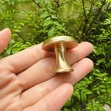  Núm tủ màu vàng phi 29mm (Cái) 