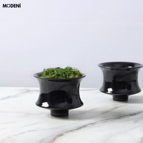 Góc chụp chính diện dưới nắng ấm, chậu cây trang trí Sylph nổi bật với bề mặt sứ đen bóng và dáng xòe tinh tế.