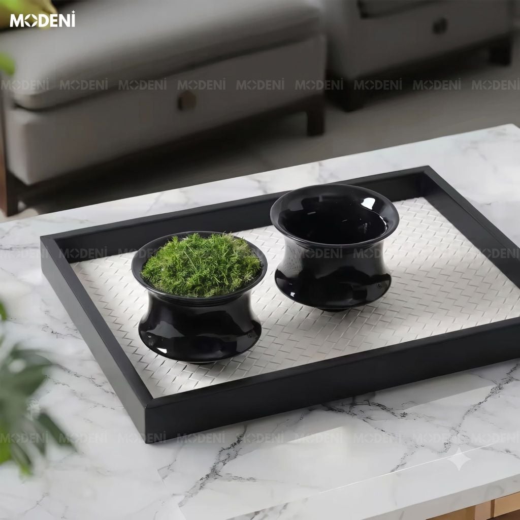 Chậu Cây Trang Trí Sylph Composite Đen Chống Thấm Thiết Kế Nhỏ Gọn Đương Đại Thanh Lọc Thị Giác Dành Cho Bàn Trà