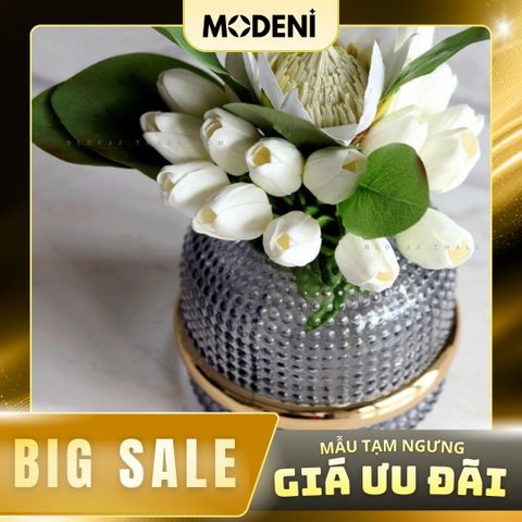  Bộ Bình Hoa Thủy Tinh Dylan 