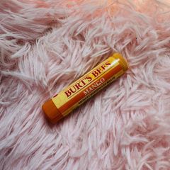 Son dưỡng không màu Burt's Bees Lip Balm