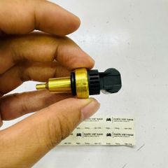 Cảm biến nhiệt độ nước làm mát động cơ Mercedes Benz, W203, W204. Hàng Đức. Mã 0005425118, 0999053800, 0009050700, 0148100002, TSE28